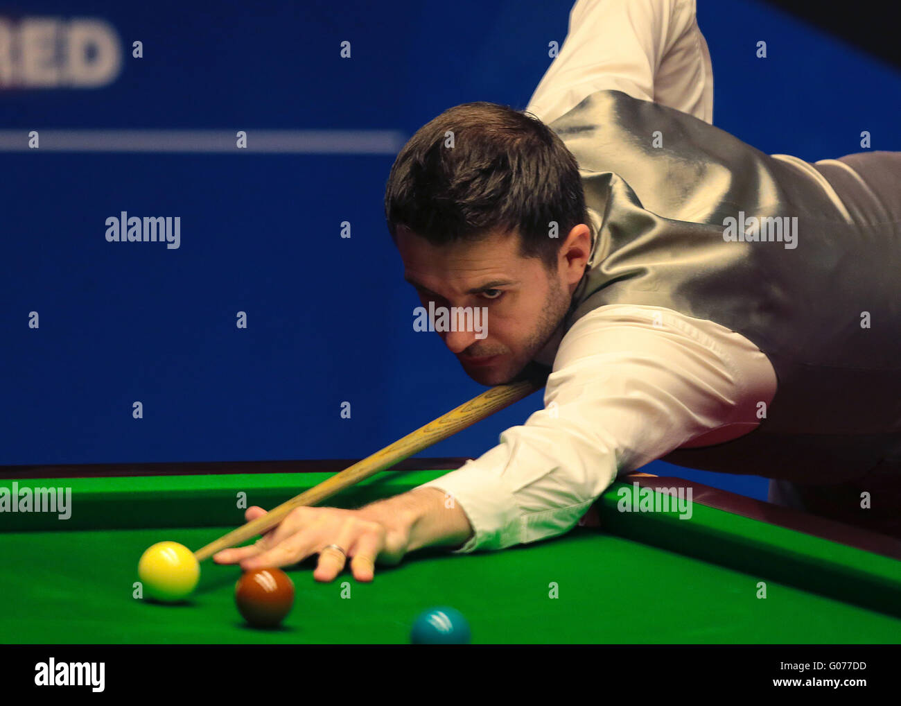 Der Tiegel, Sheffield, UK. 30. April 2016. Snooker Weltmeisterschaft Halbfinale. Selby im Vergleich zu Fu. Mark Selby spielt einen Schuss Kredit: Action Plus Sport/Alamy Live News Stockfoto