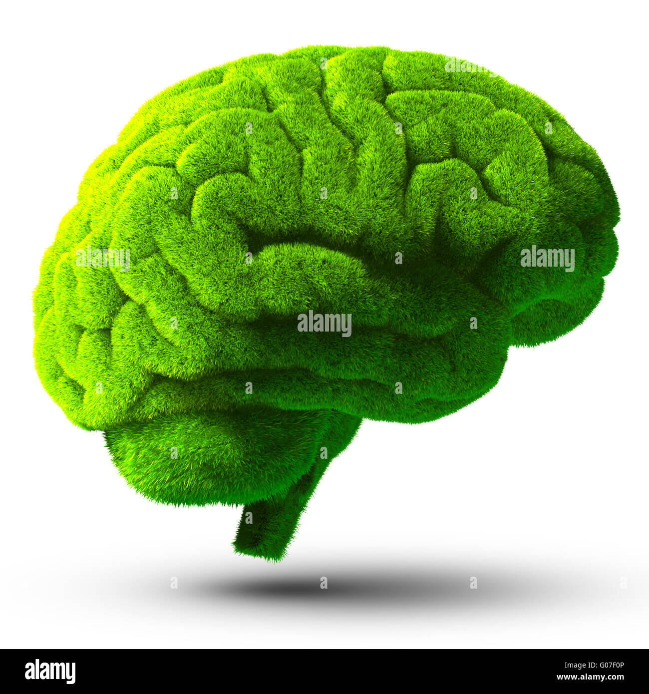 Grüne Gehirn Stockfoto