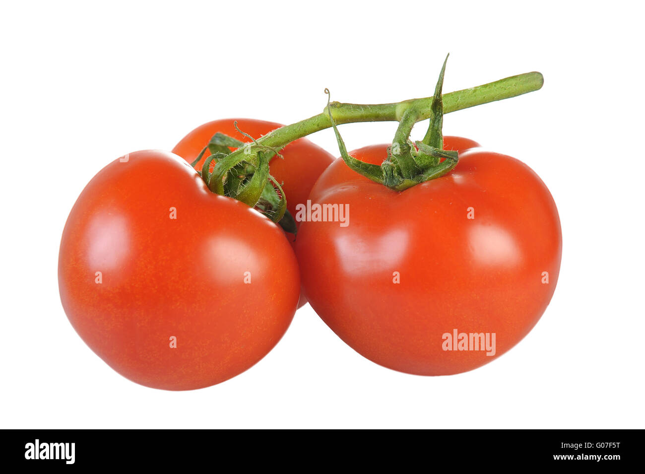 Tomaten Stockfoto