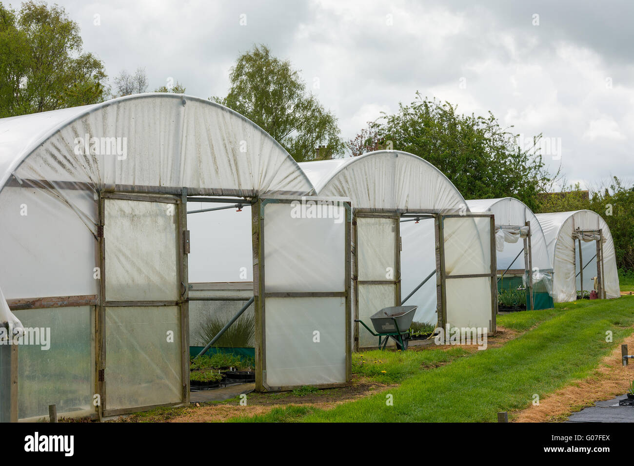 Gartenbau Folientunnel für zarte Pflanzen wachsen. Stockfoto