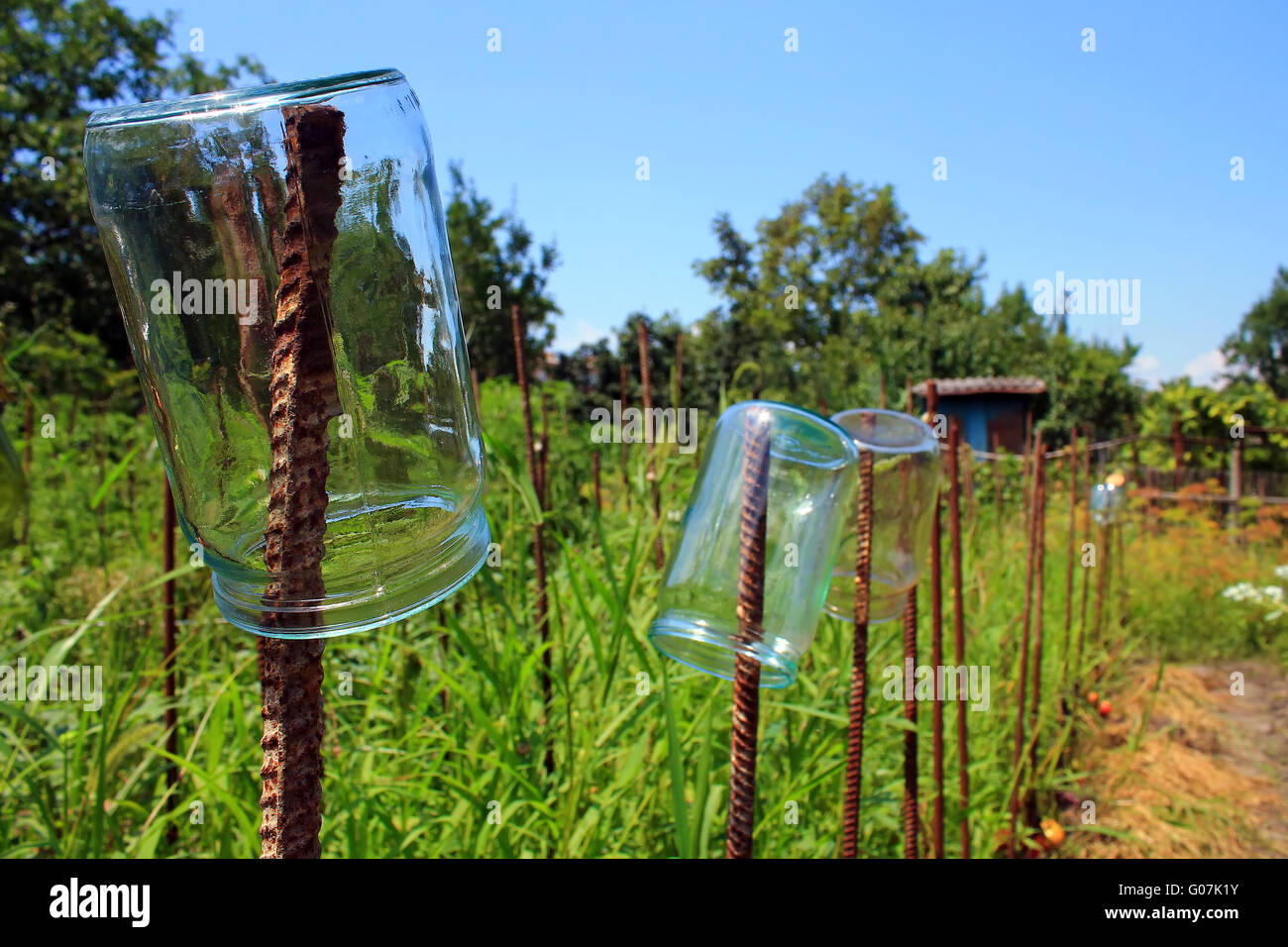Gläser für Gemüse Konserven auf der Datscha Stockfoto