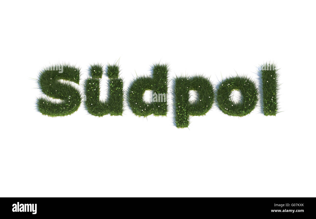 Südpol: Serie Schriftarten aus realistischen grass Sprache G (Südpol) Stockfoto