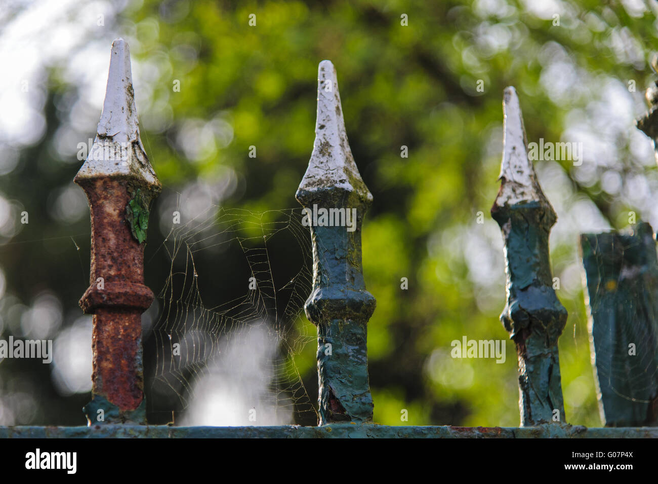 Spinnennetz zwischen den Spitzen von einem Metall Garten Villenviertel Stockfoto