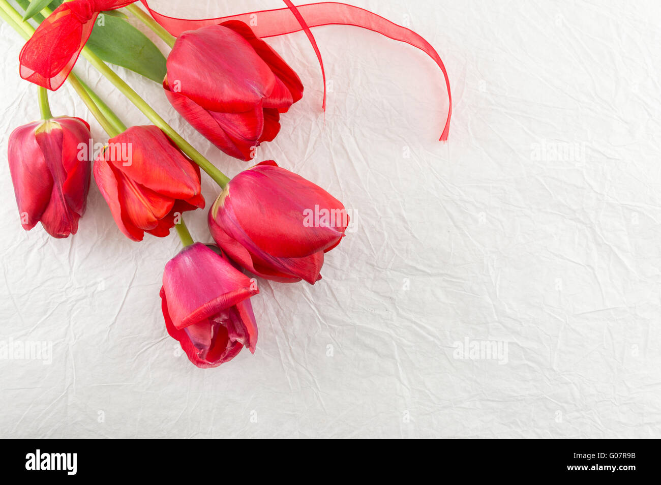 Rote Tulpen auf dem seidigen weißen Stoff Stockfoto