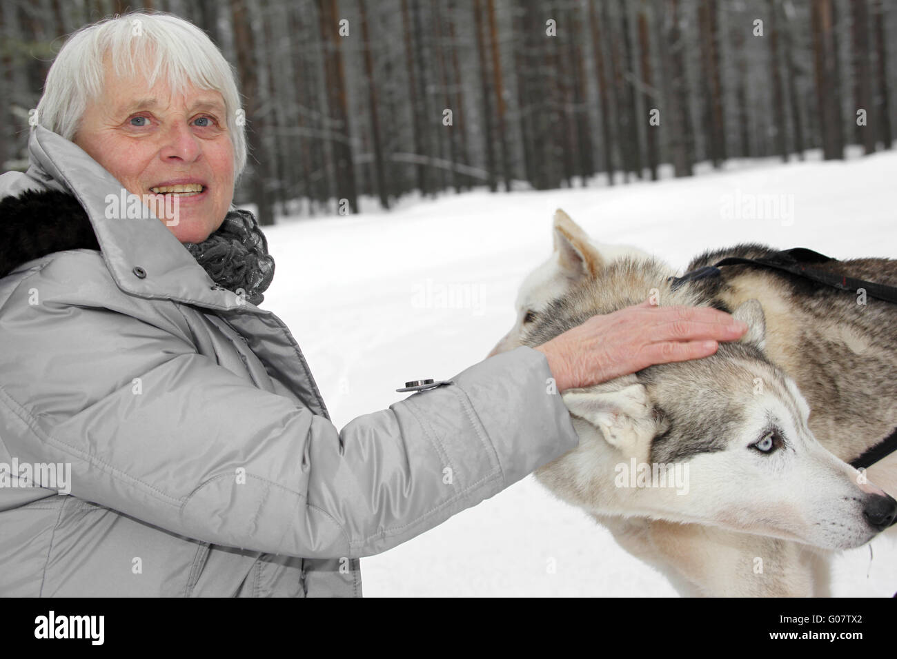 Ältere Frau kuscheln mit Siberian Husky Stockfoto