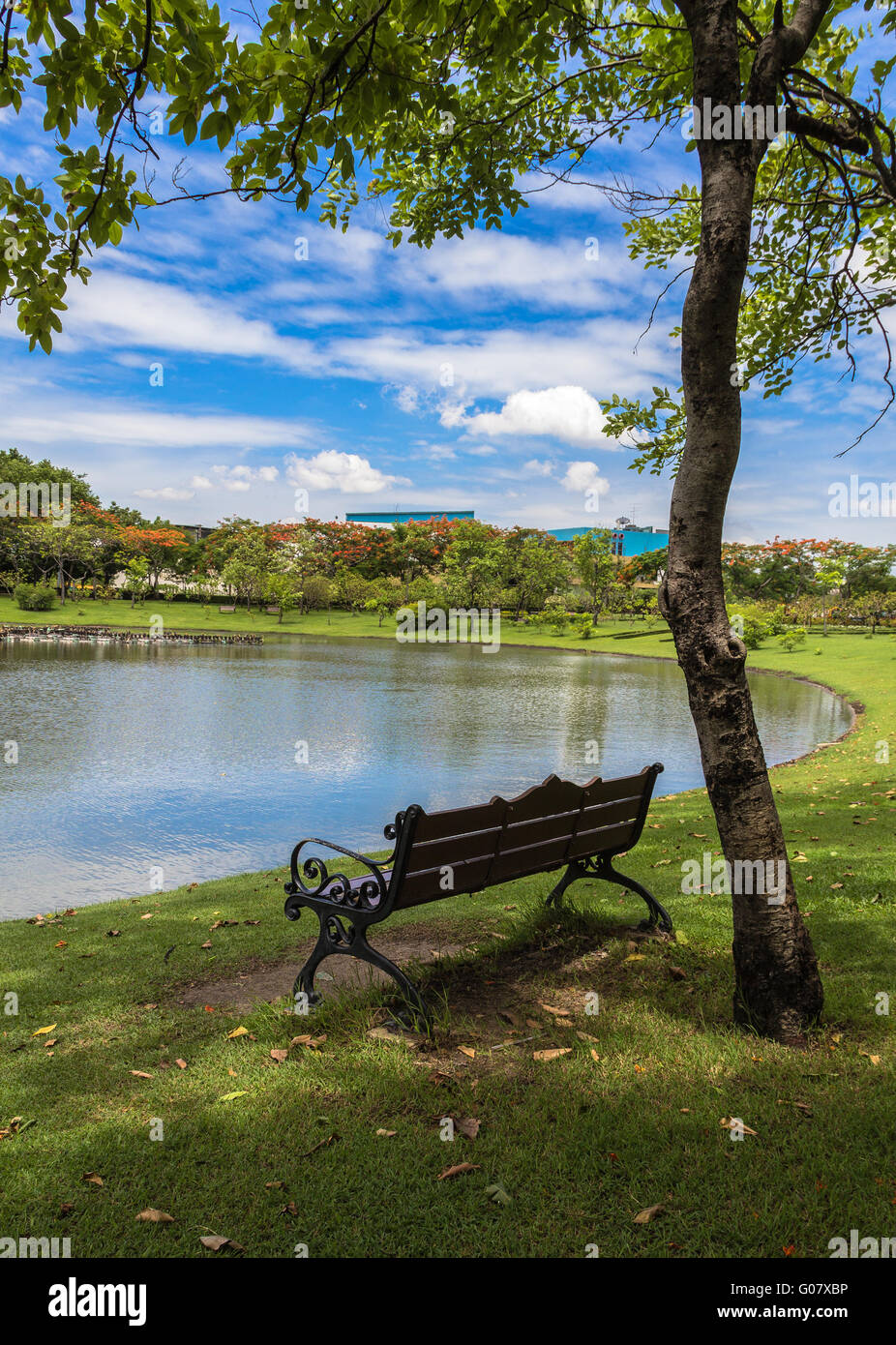 Bank im Schatten des Baumes im sonnigen Tag Stockfoto