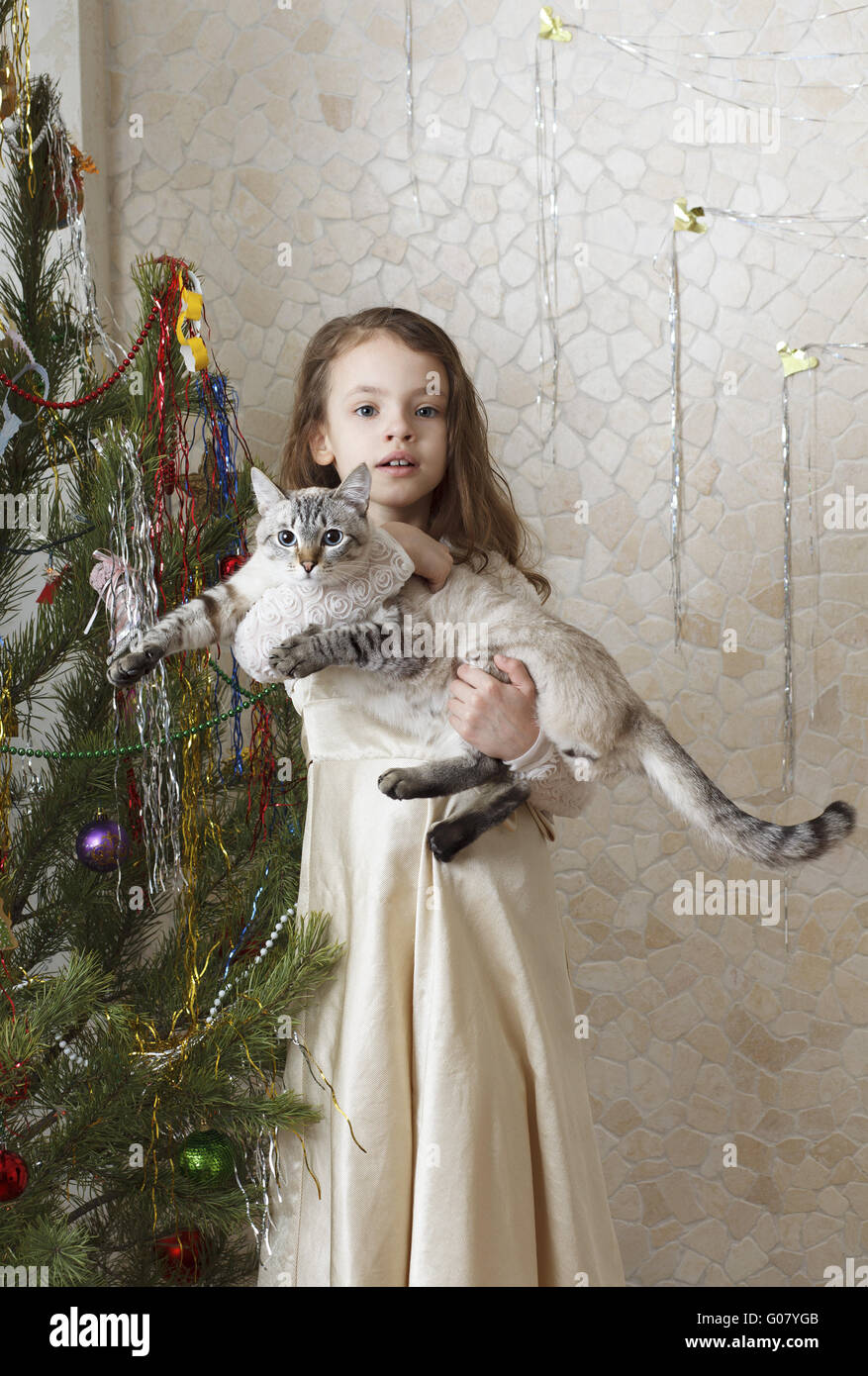 Schönes Mädchen mit einer Katze in der Nähe von einem Weihnachtsbaum. Stockfoto