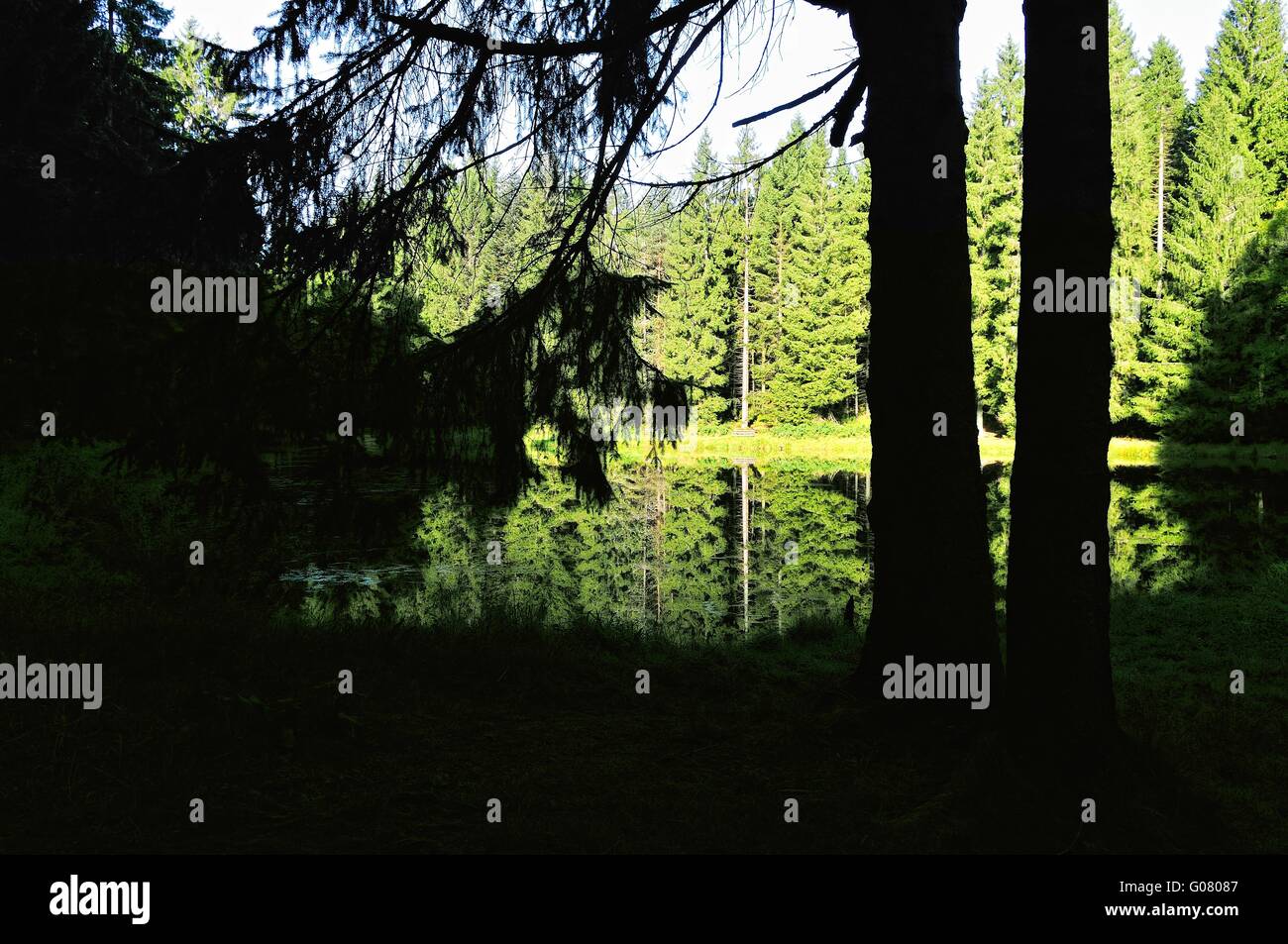 an einem einsamen idyllischen Schwarzwald See in Deutschland Stockfoto