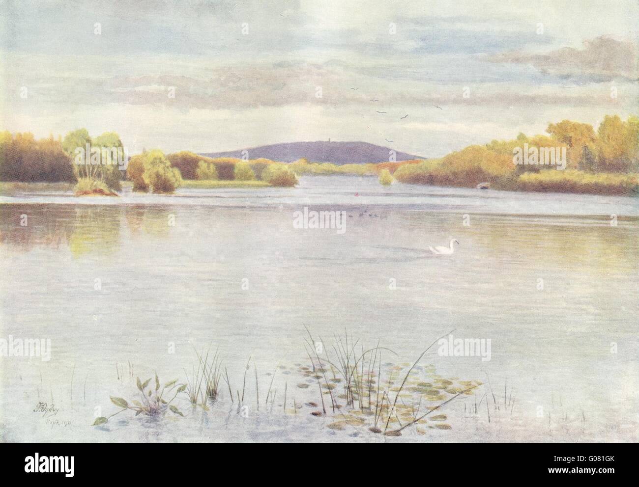 EWHURST: Vachery Teich. Surrey, antiken Druck 1914 Stockfoto