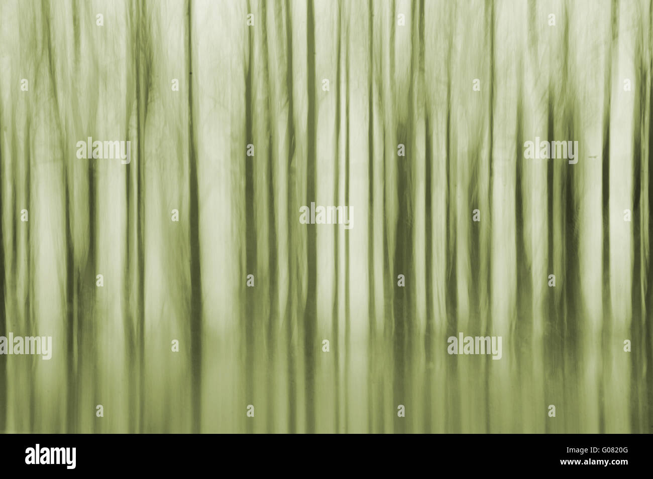 Bäume-abstrakt Stockfoto