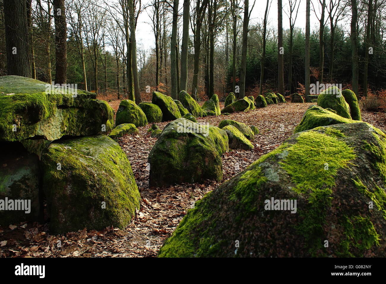 Megalith Grab in der Nähe von Hamburg Stockfoto