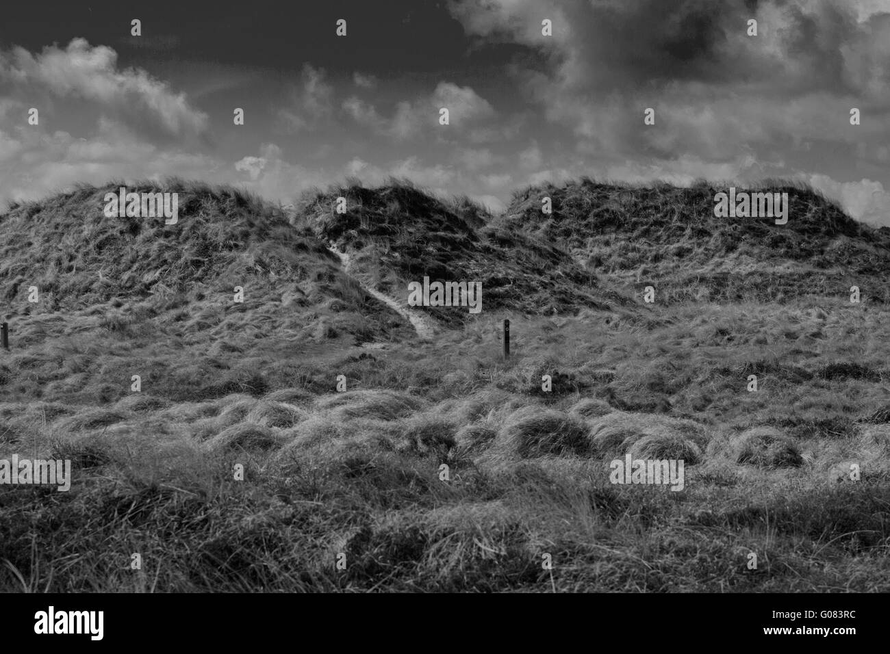 Dünen - Landschaft Stockfoto