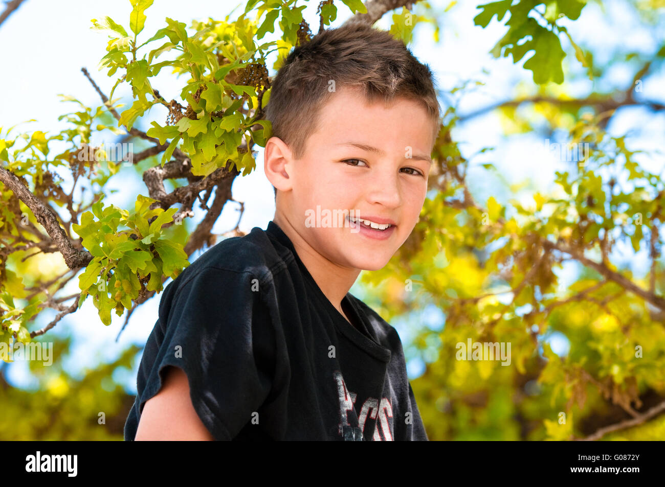 Kleiner Junge oben im Baum Stockfoto