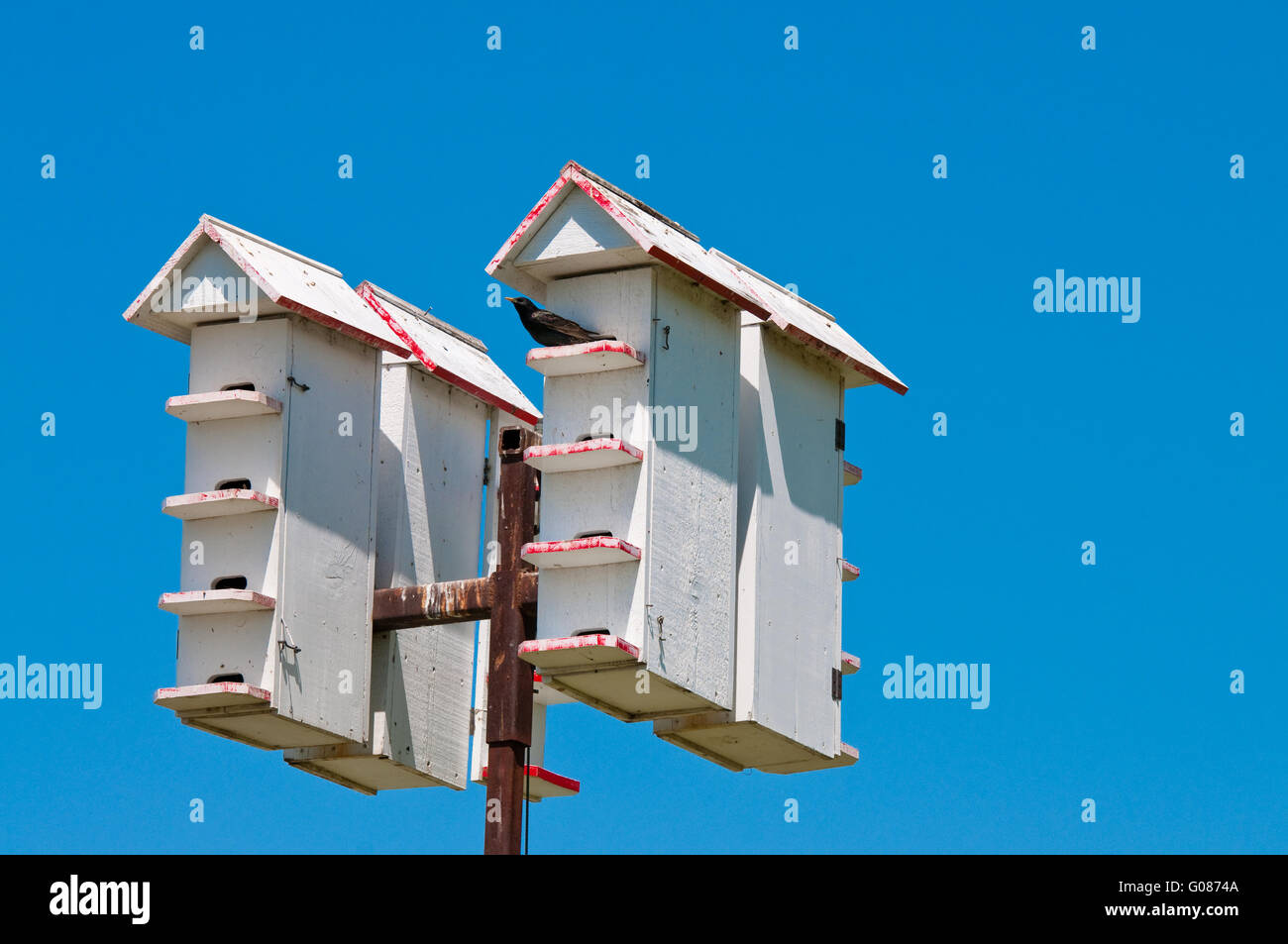 Aus nächster Nähe erschossen Vogelhäuser Stockfoto