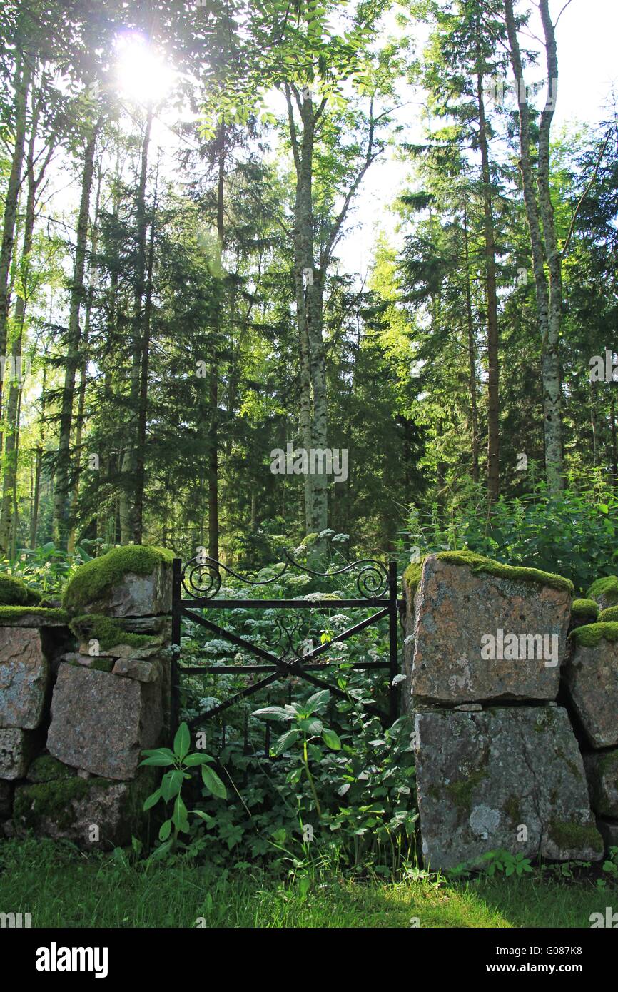 Tor in einer alten Friedhof Mauer Stockfoto