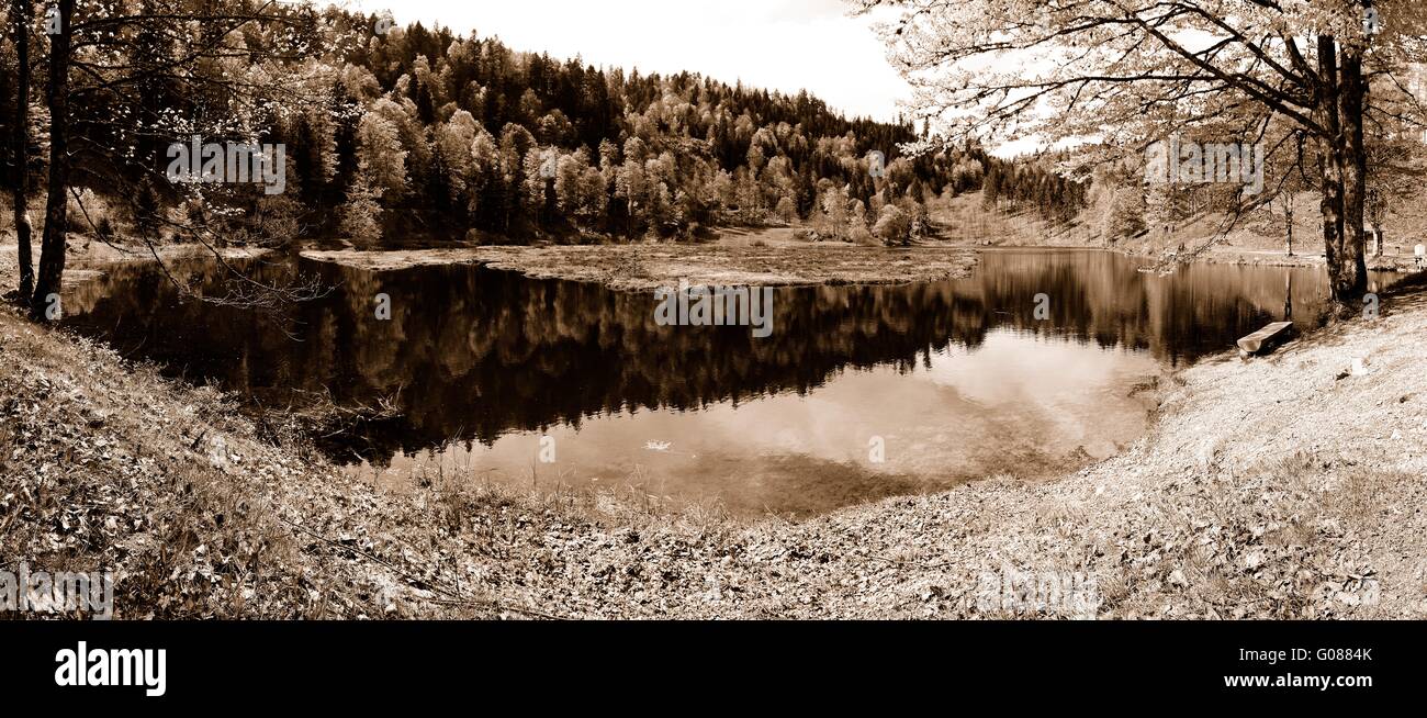 Nonnenmattweiher Panorama Schwarzwald Deutschland Stockfoto