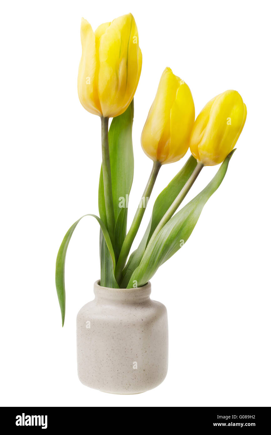 minimalistische Strauß - Blume Mini gelbe Tulpen Stockfoto