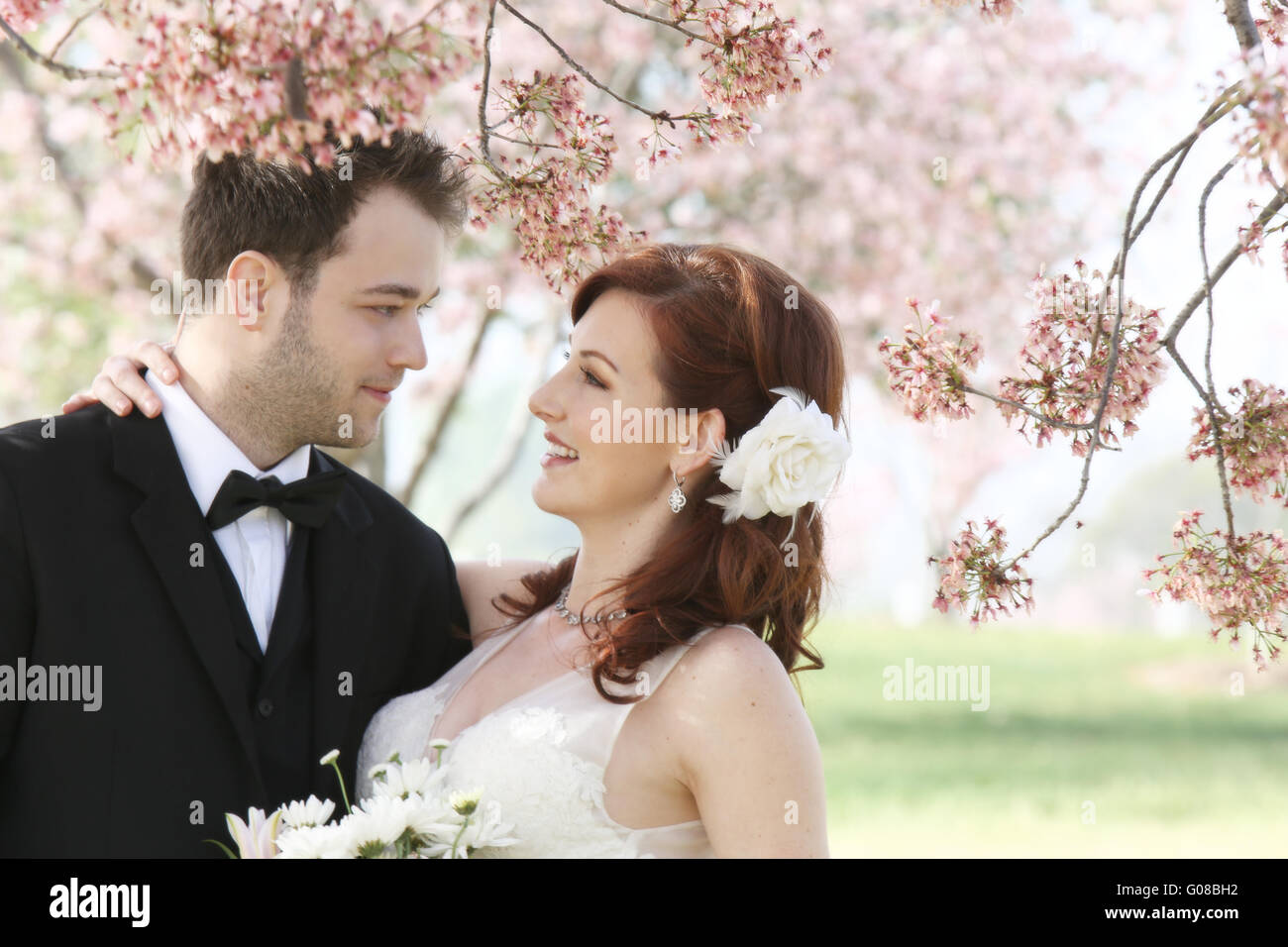 Brautpaar Umarmung unter Kirschblüten Stockfoto