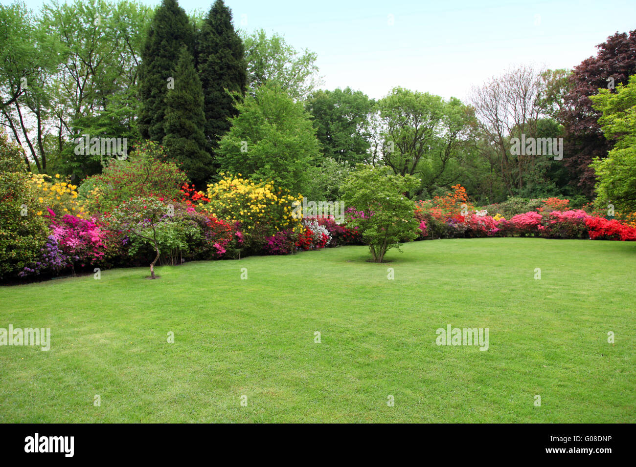 Schöne gepflegte Rasenfläche im Sommergarten Stockfoto