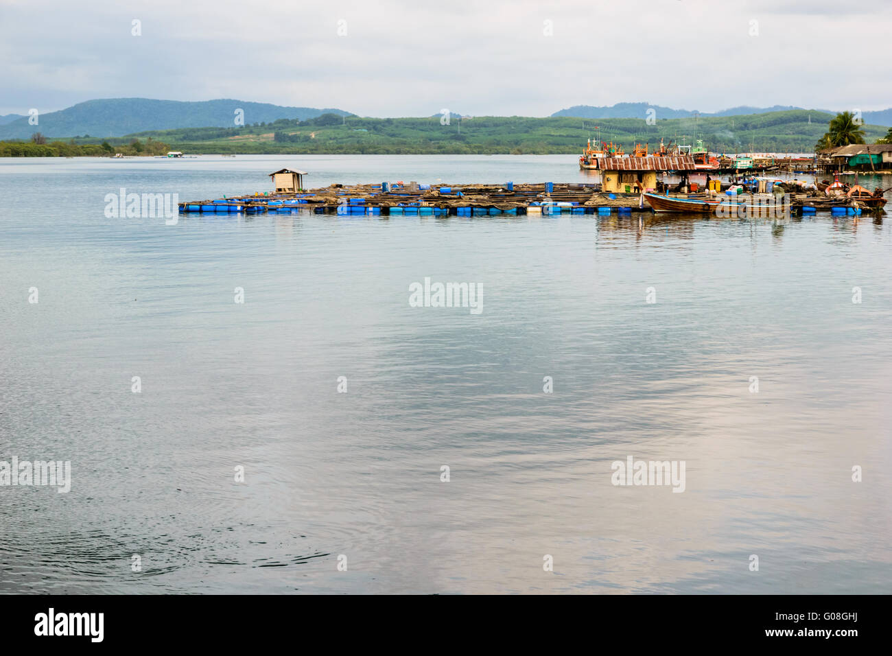 Fischfarm mit schwimmenden Käfig auf See in der Provinz Phuket, Thailand Stockfoto