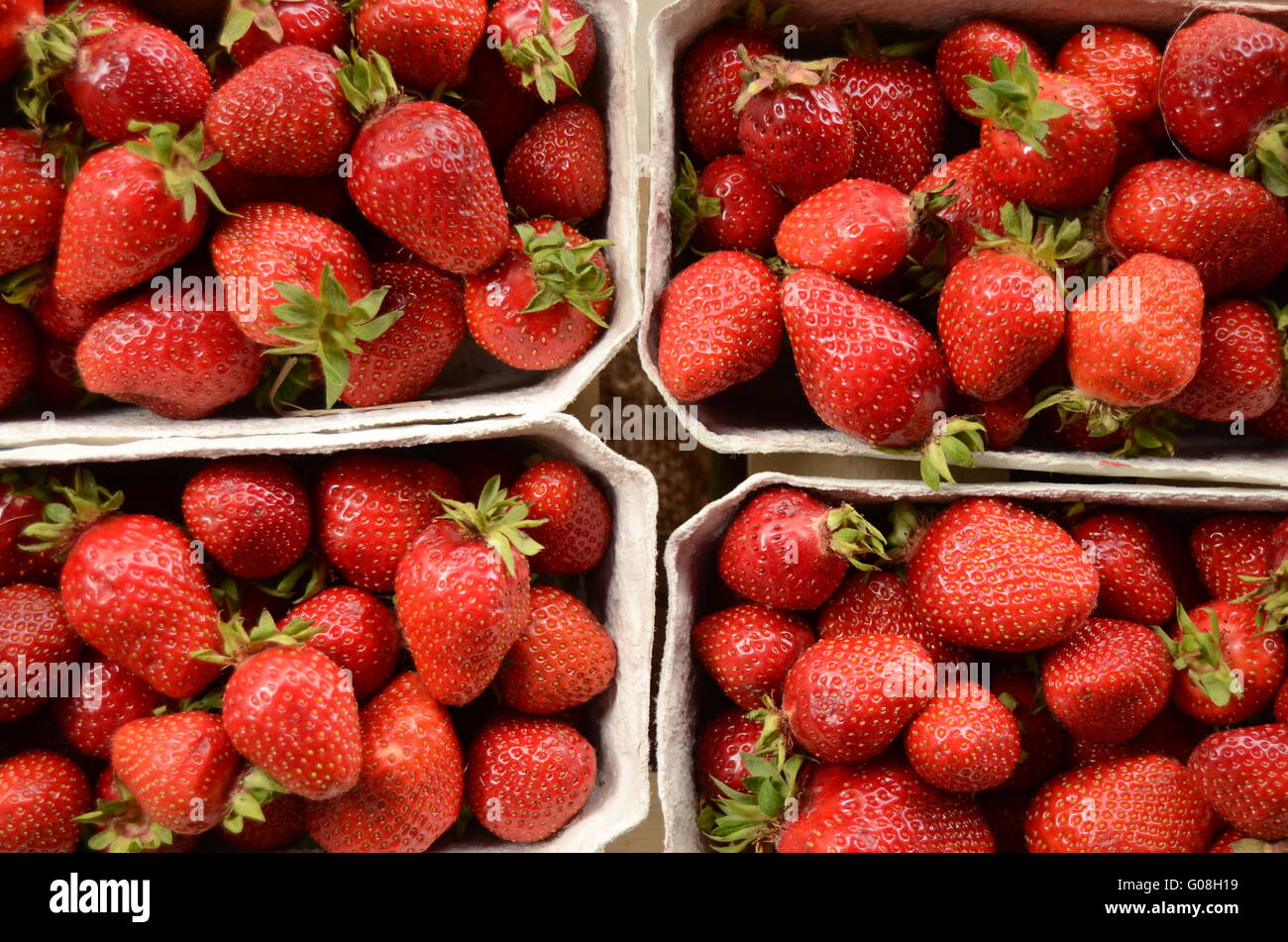 Vier Körbe mit frischen Erdbeeren In A Street Market Stockfoto