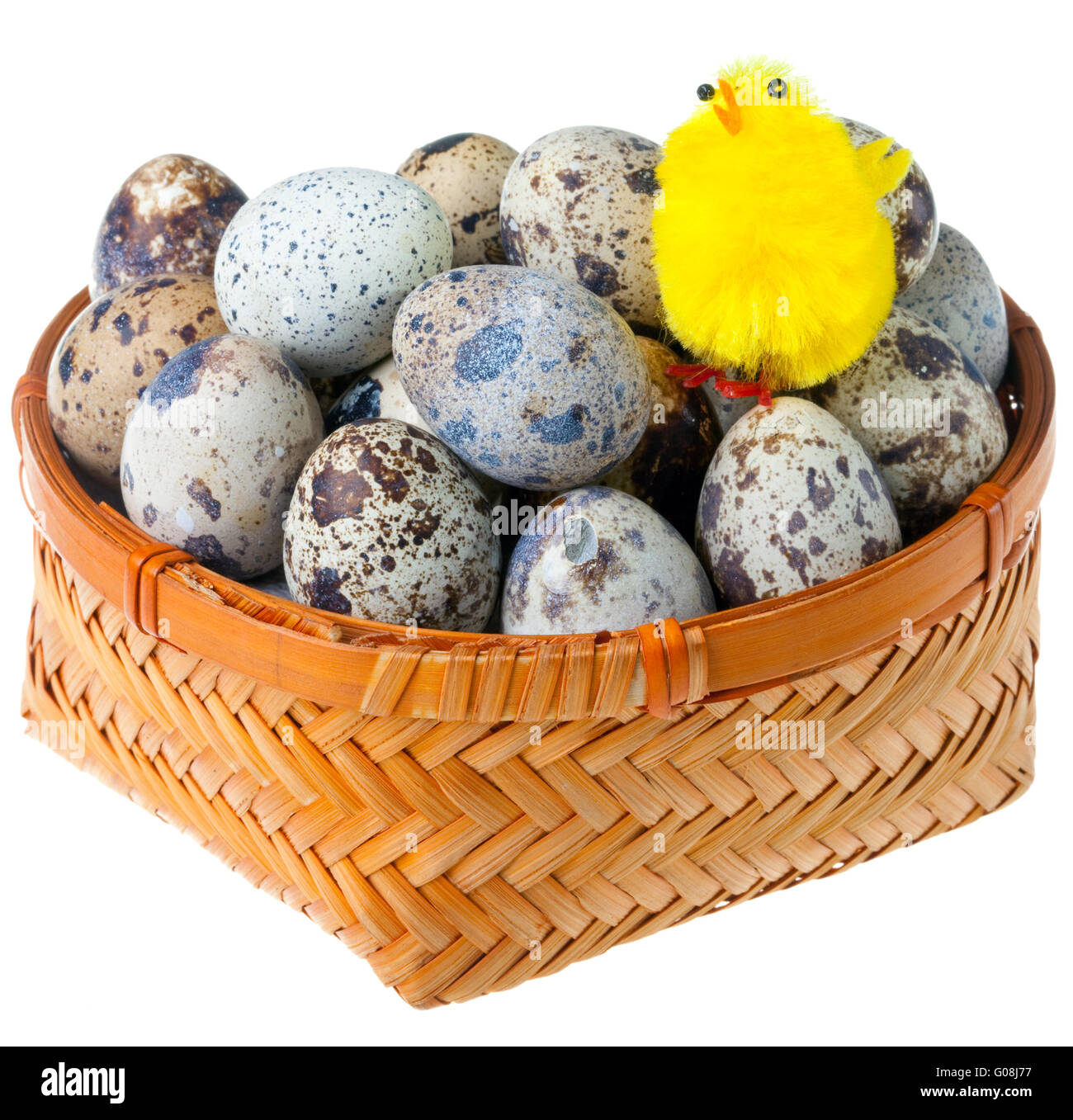 Wattled Korb mit Wachteleiern und ein Spielzeug-Huhn Stockfoto
