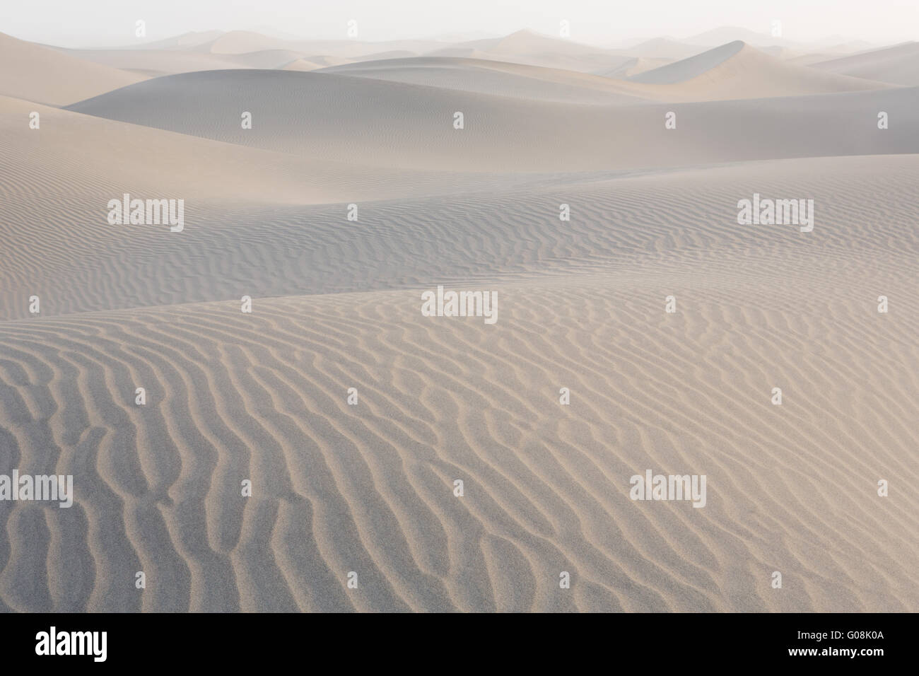 Morgenlicht auf Mesquite flache Sanddünen an einem windigen Tag Stockfoto