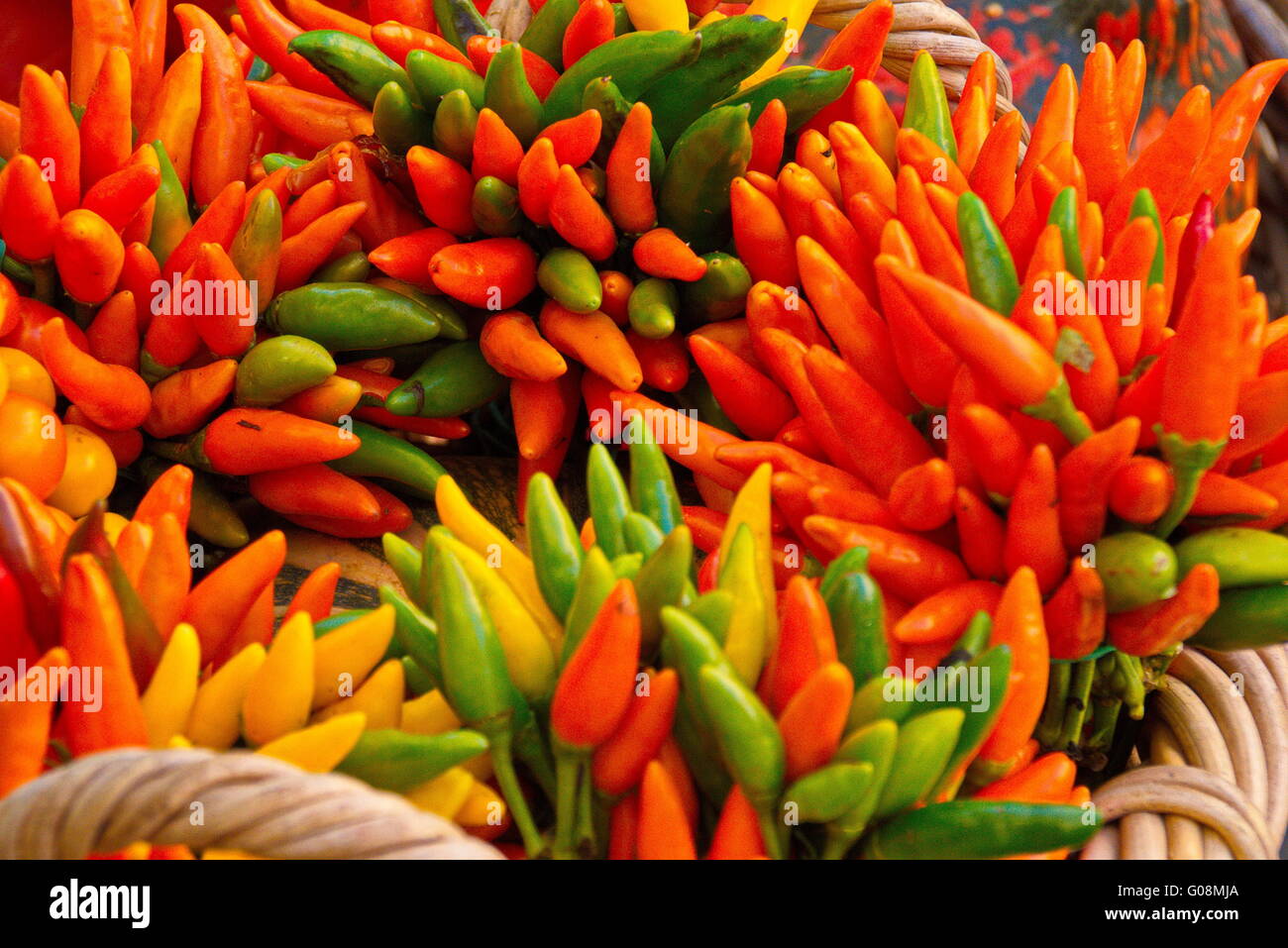 Pfeffer Stockfoto