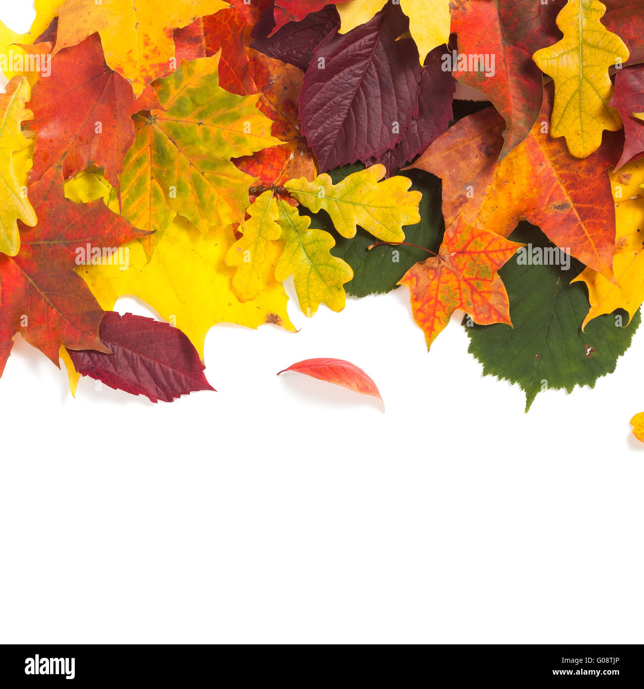 Herbstliche Karte der farbigen Blätter Stockfoto