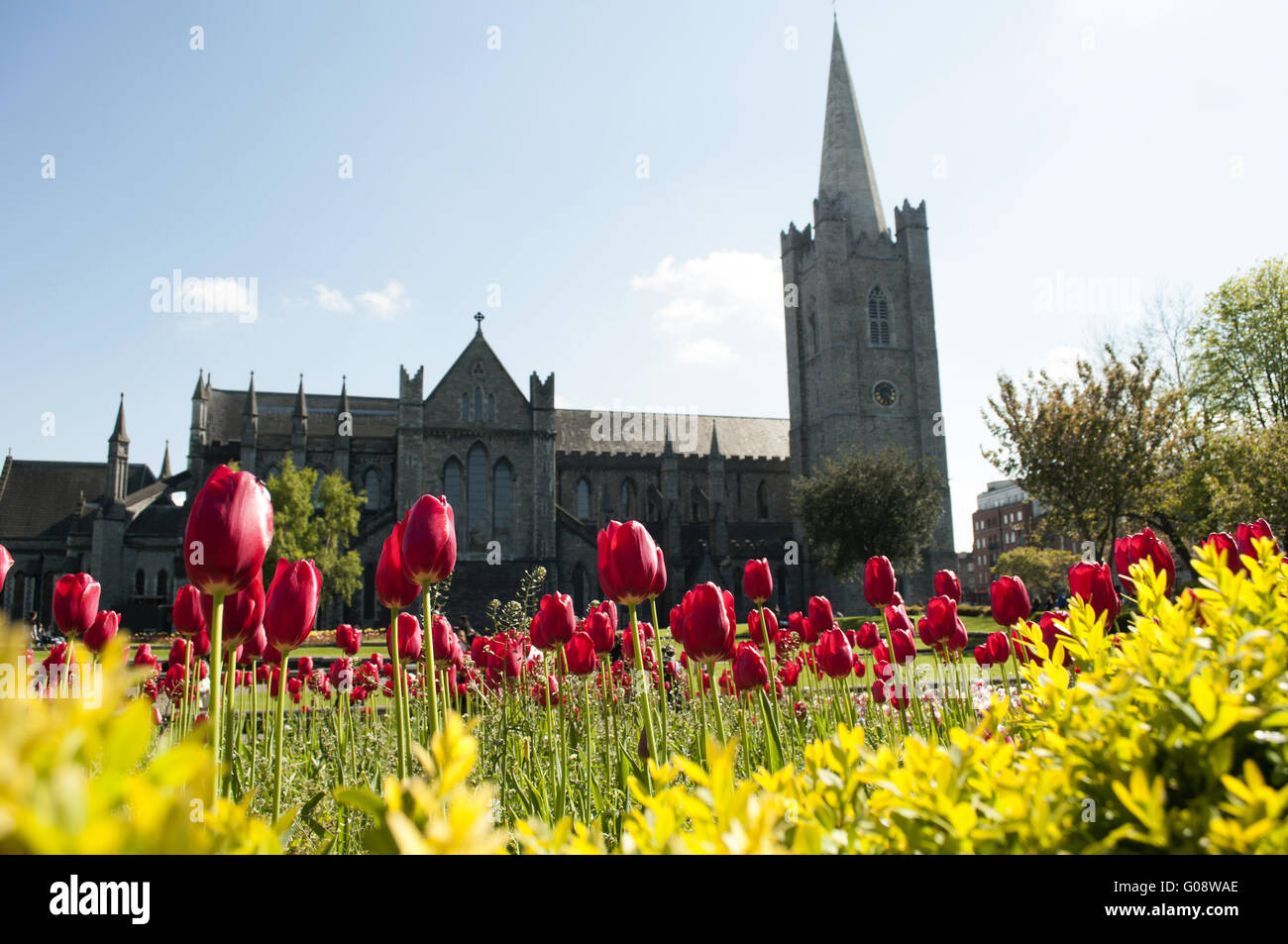 Garten der St. Patricks Kathedrale Stockfoto
