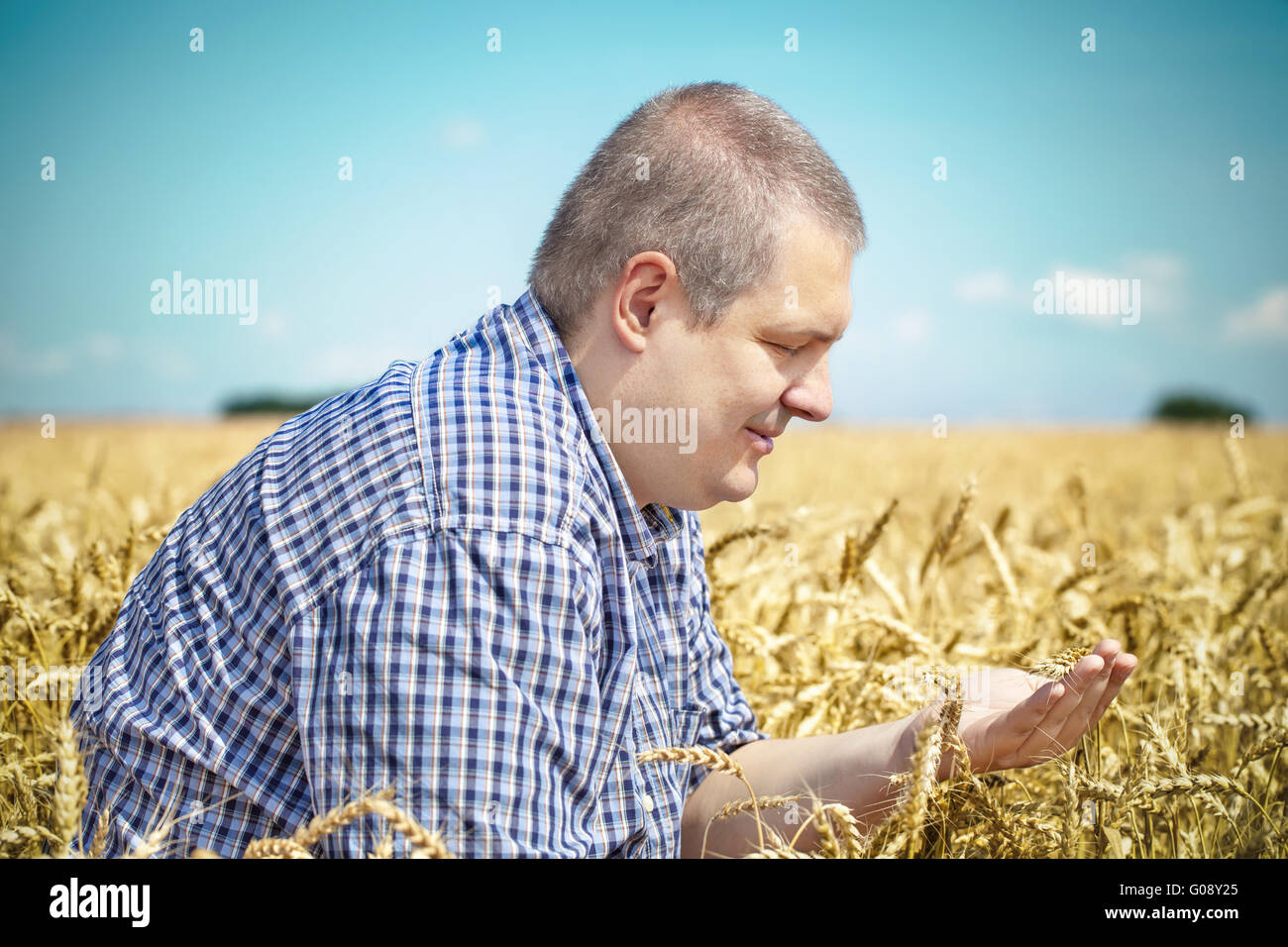 Agronom auf Getreide-Feld im Sommer Stockfoto