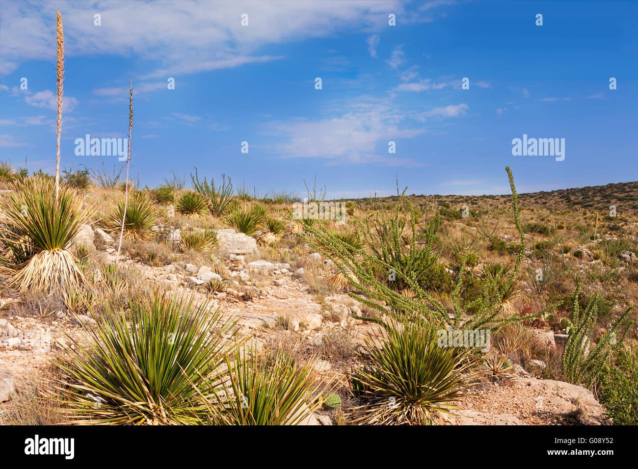 Eindrucksvolle und malerischen Landschaft in New Mexiko Stockfoto