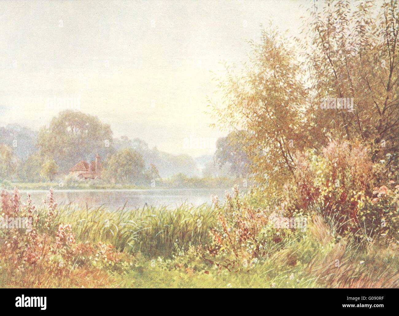 SURREY: Pilgerweg: Herbst Unkraut, Chilworth, antique print 1912 Stockfoto