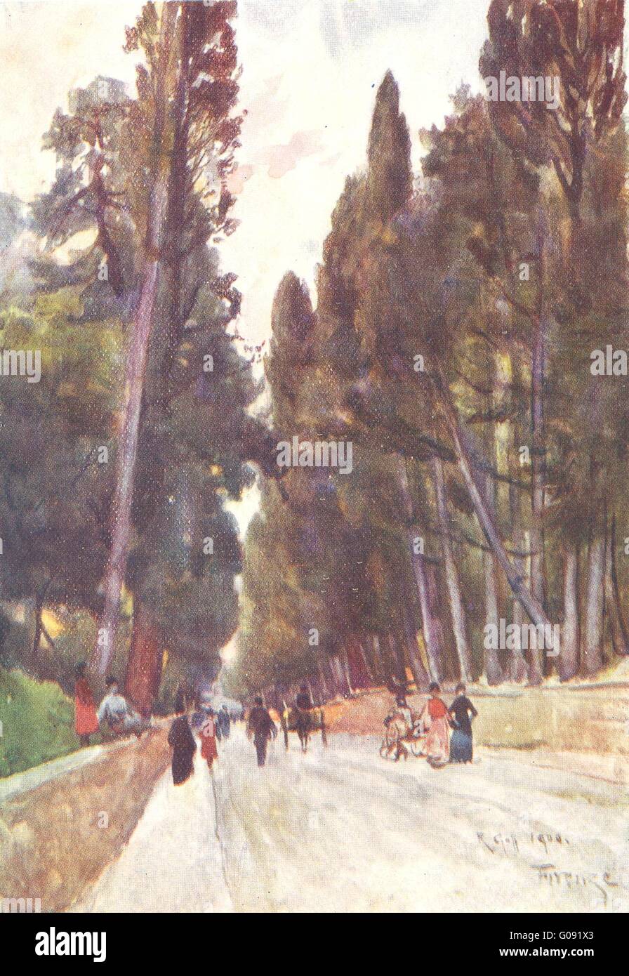TUSCANY TOSCANA: Zypressenallee von Poggio Imperiale; Straße nach Arcetri, 1905 Stockfoto