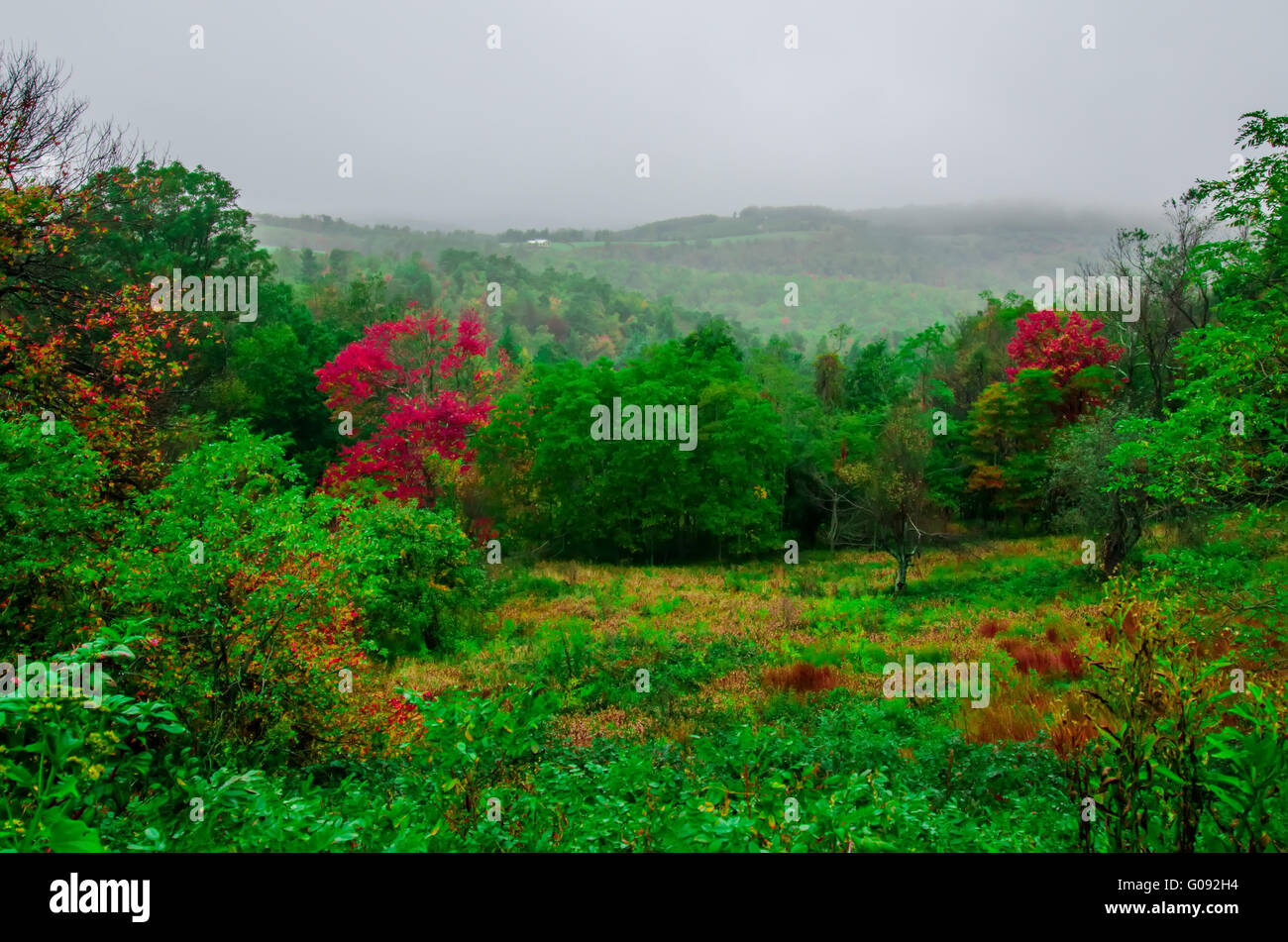 Berglandschaft in Virginia Zustand um roanoke Stockfoto