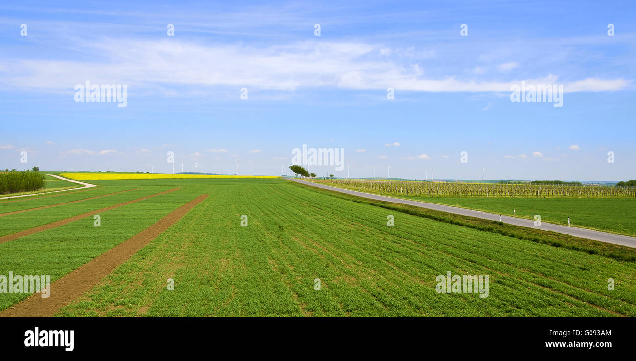 Felder und Weinberge mit Straßen- und Wind Turbinen Stockfoto