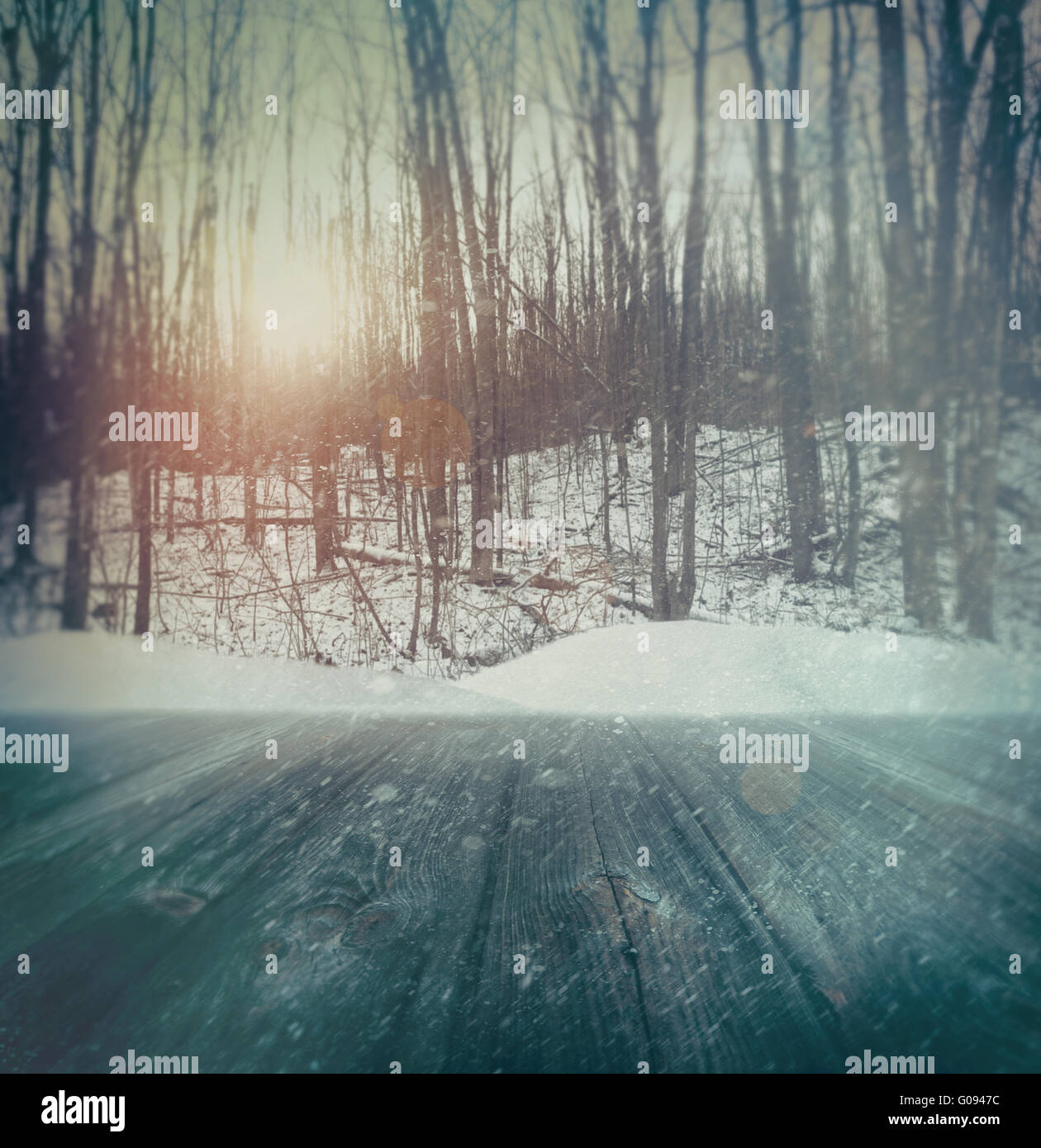 Winter Wald Hintergrund mit Holzplanken in foref Stockfoto