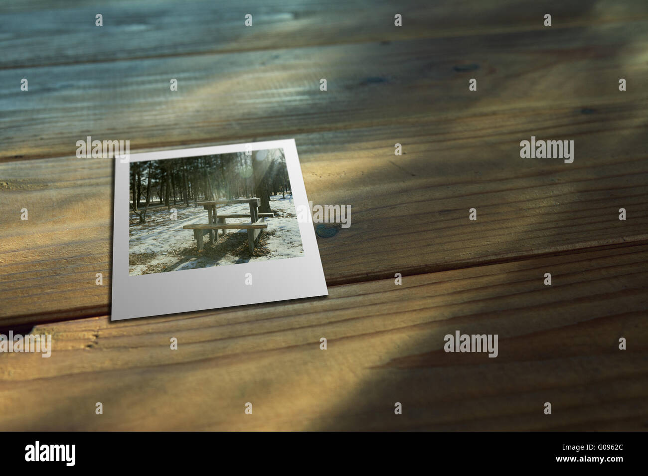 Polaroidfilm am Wald Stockfoto
