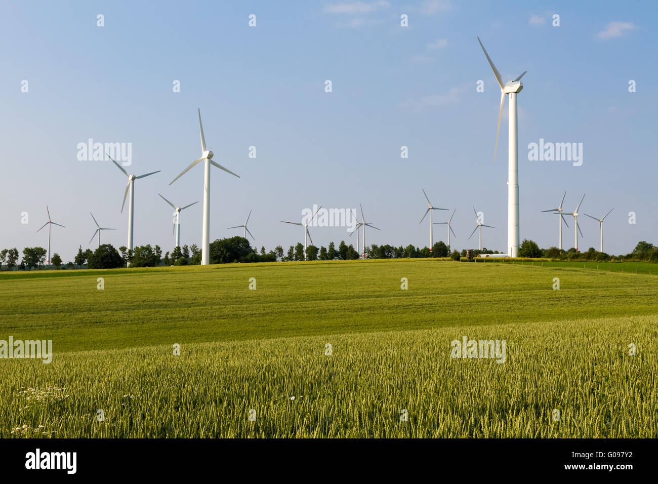 Mehrere Windkraft hinter Weizenfeld und Holz Stockfoto