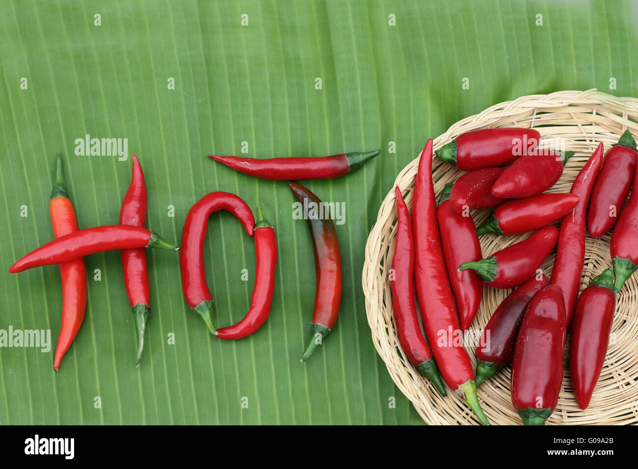 Nach Hause angebauten frische langen heißen roten Chilischoten auf Bananenblatt Stockfoto