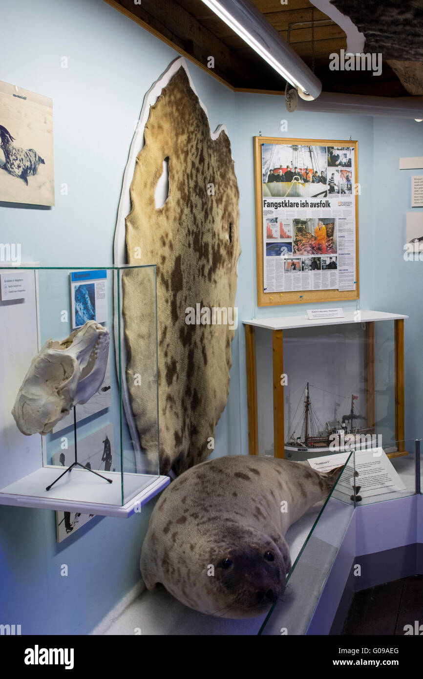 Norwegen, Tromsö. Das Polar-Museum, beherbergt eine Sammlung über Arktisforschung, Exploration und norwegischen überfüllen. Robbenjagd Stockfoto
