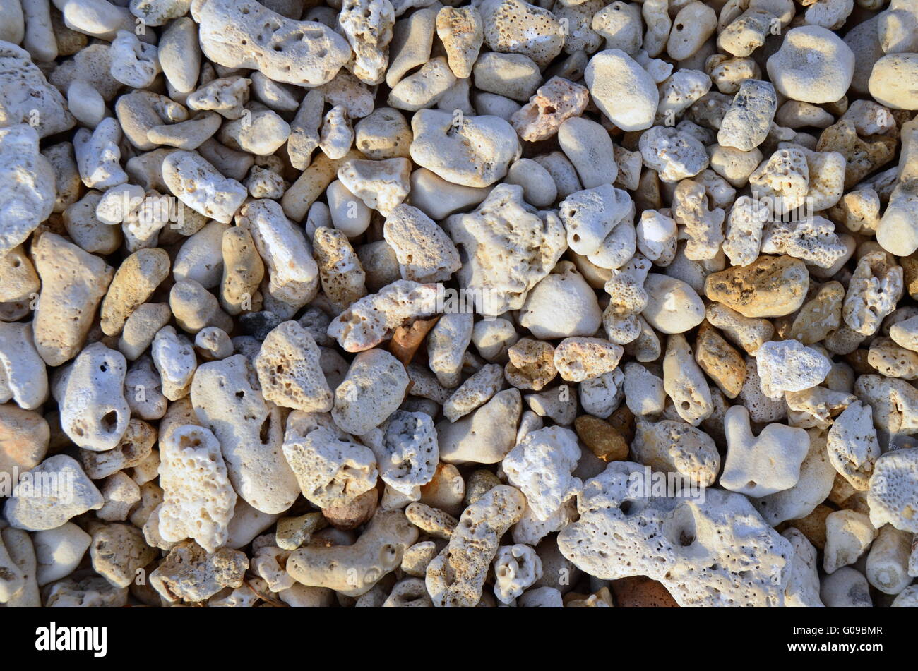 Abstrakte Hintergrundtextur von Korallen an einem tropischen Strand Stockfoto