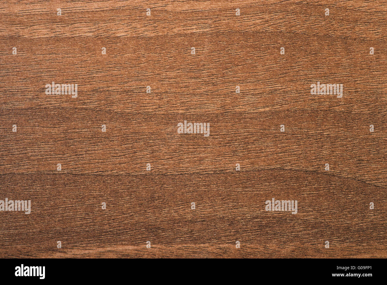 Nussbaum Aida Baum Holz Textur Stockfoto