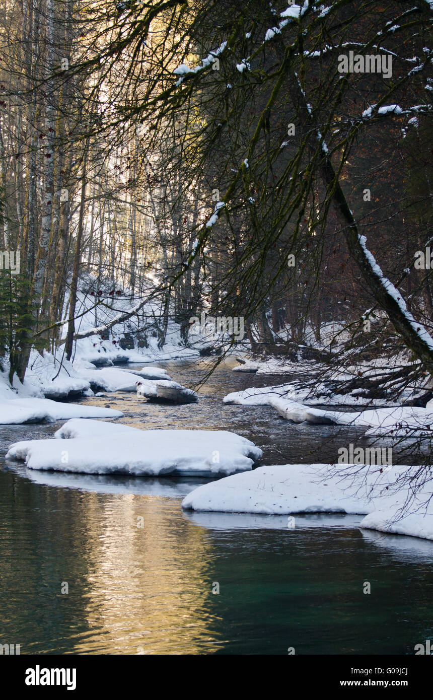 Der Fluss des Jahres Argen im Winter Stockfoto