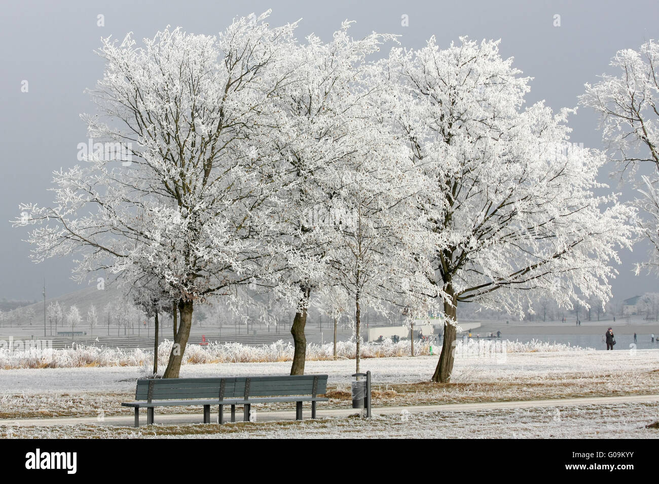 Bäume mit Raureif und Park bench Stockfoto