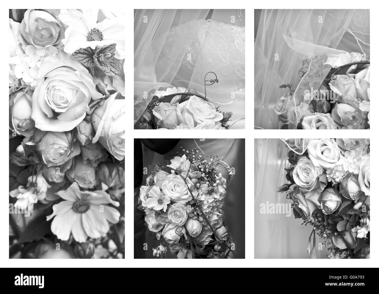 Collage Hochzeit schwarz Stockfoto