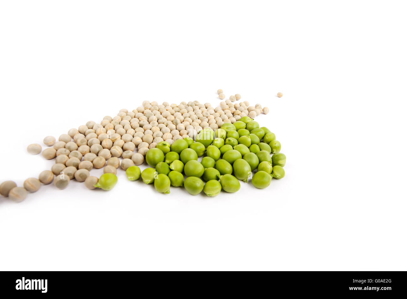 Frische und getrocknete Erbsen auf weißem Hintergrund Stockfoto