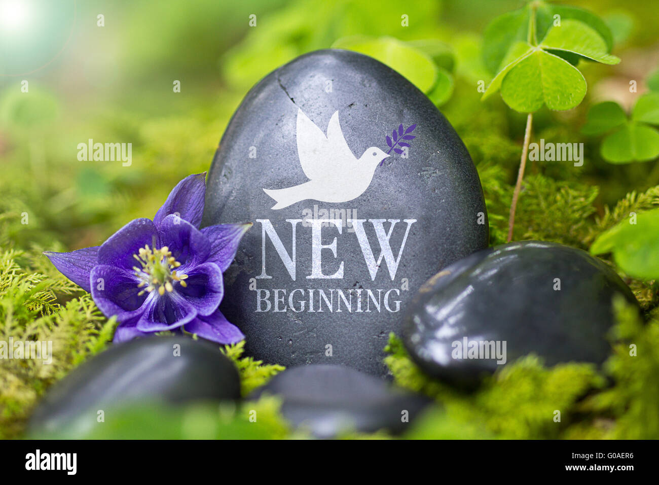 Schwarzer Stein mit den Worten "New Beginning" Stockfoto