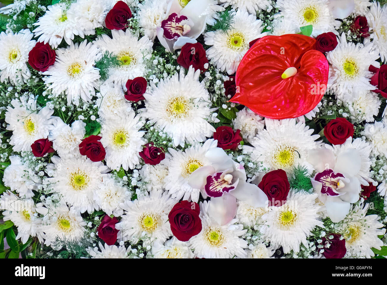 Roten und weißen Blumenstrauß mit Gerbera, Rosen ein Stockfoto