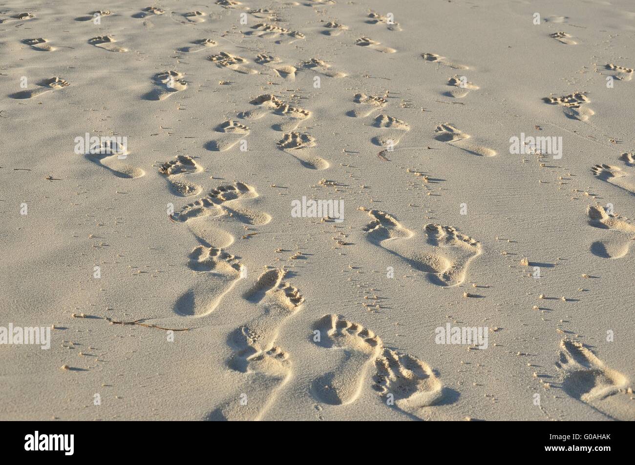 Footprints in the Sand Stockfoto
